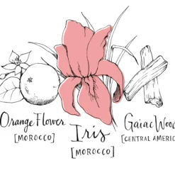 Atelier Cologne Iris Rebelle 7 Atelier Cologne Iris Rebelle -Delice Arome Soldes Boutique atelier cologne iris rebelle eau de parfum mixte 2