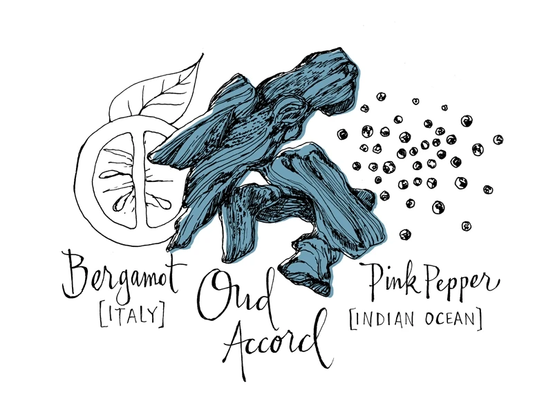 Atelier Cologne Oud Saphir 3 Atelier Cologne Oud Saphir – Image 3