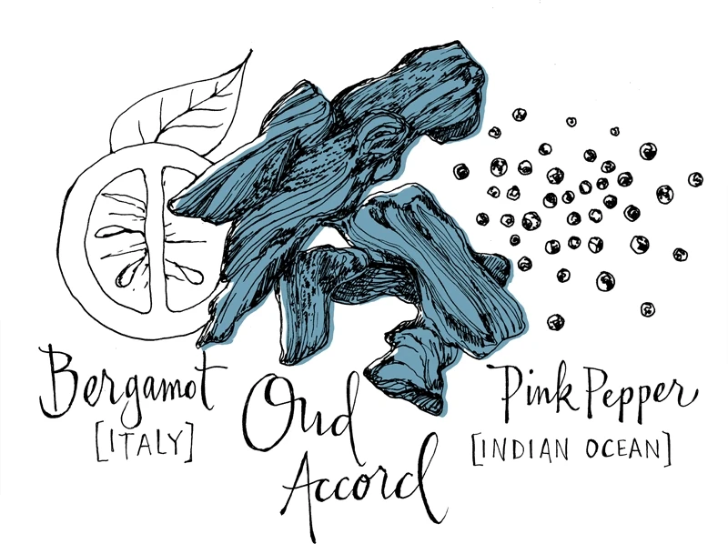 Atelier Cologne Oud Saphir 7 Atelier Cologne Oud Saphir – Image 7