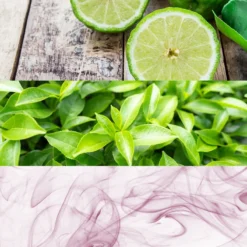 Calvin Klein CK One -Delice Arome Soldes Boutique calvin klein ck one eau de toilette mixte 1