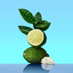 Calvin Klein CK One -Delice Arome Soldes Boutique calvin klein ck one eau de toilette mixte 2