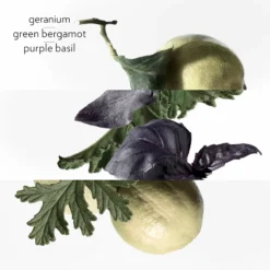 Hermès HERMÈS Colognes Collection Eau De Basilic Pourpre -Delice Arome Soldes Boutique hermes colognes collection eau de basilic pourpre eau de cologne mixte 2