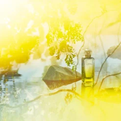 Hermès HERMÈS Le Jardin De Monsieur Li -Delice Arome Soldes Boutique hermes le jardin de monsieur li eau de toilette mixte 1