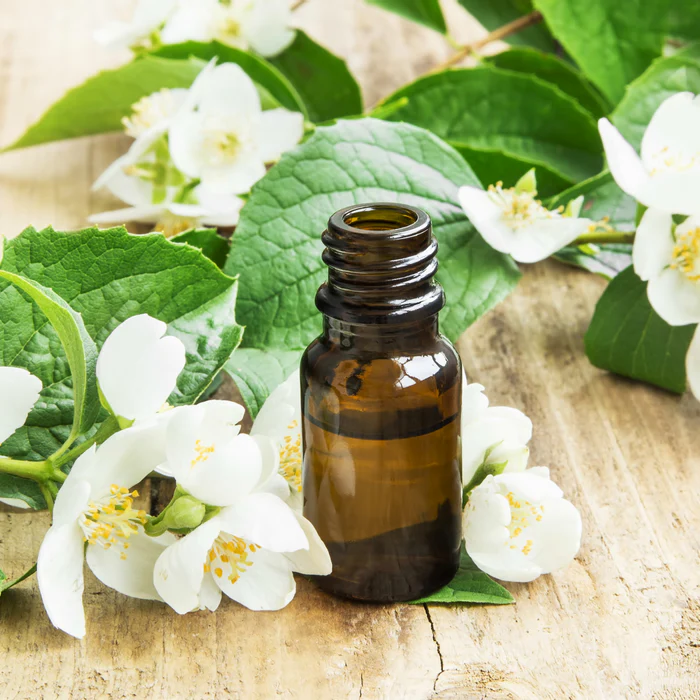 Delice Arome Soldes Boutique -Delice Arome Soldes Boutique